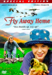 Cover: Fly Away Home